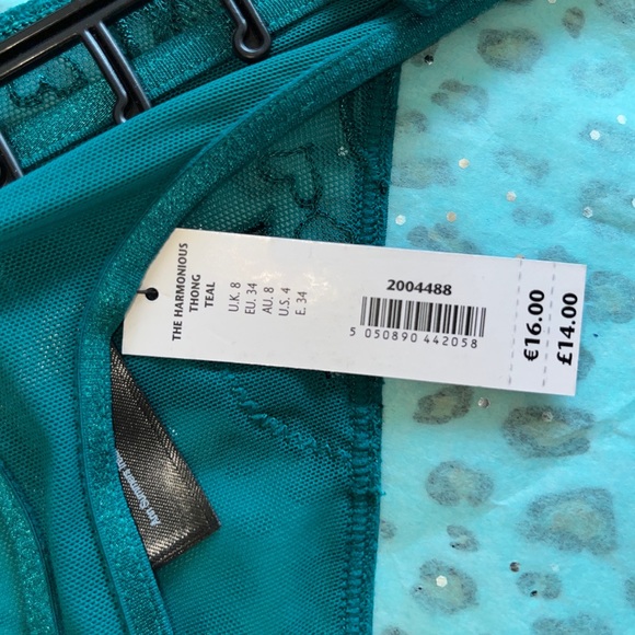 Ann Summers | NWT | "Harmonious" thong - teal - Picture 7 of 7